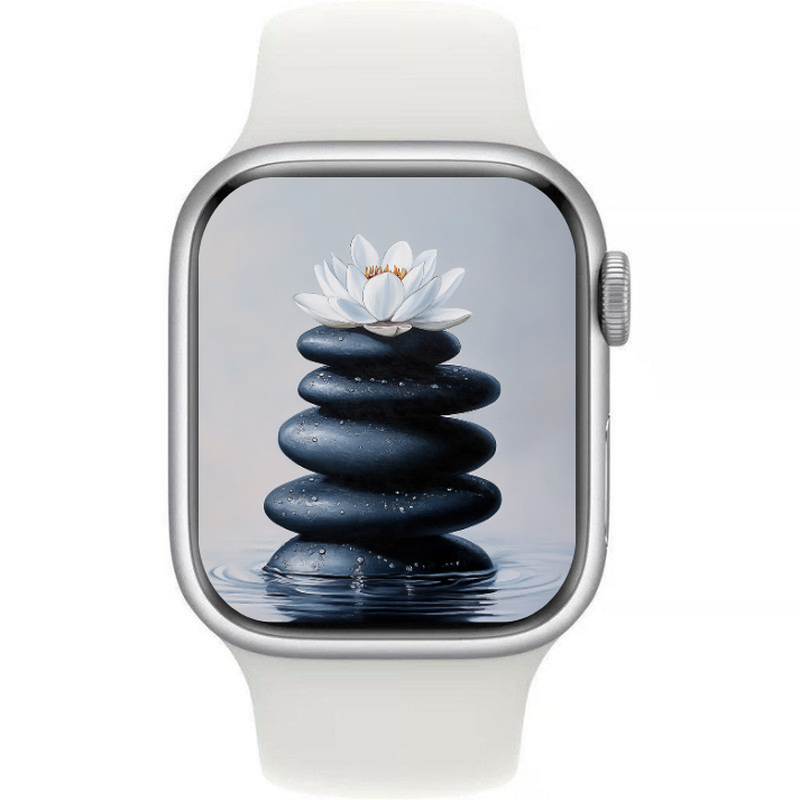 Apple Watch Series 8 41MM Aluminium GPS Silver - Premium Pre-owned (100% Battery)