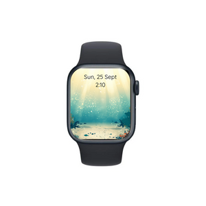 Apple Watch Series 9 45MM Aluminium GPS + Cellular Midnight Black - Excellent - Pre-owned (100% Battery Health)