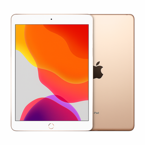 Apple iPad 10.2" Gen 8 (2020) 32GB Wifi - Gold - Excellent Pre-owned