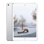 Apple iPad Mini 5 256GB Wifi + Cellular Silver - Acceptable Pre-owned